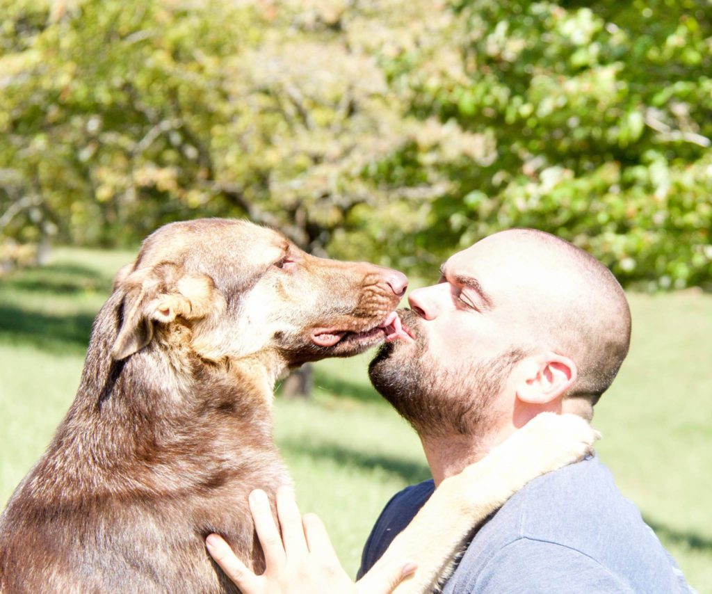 dog training orlando